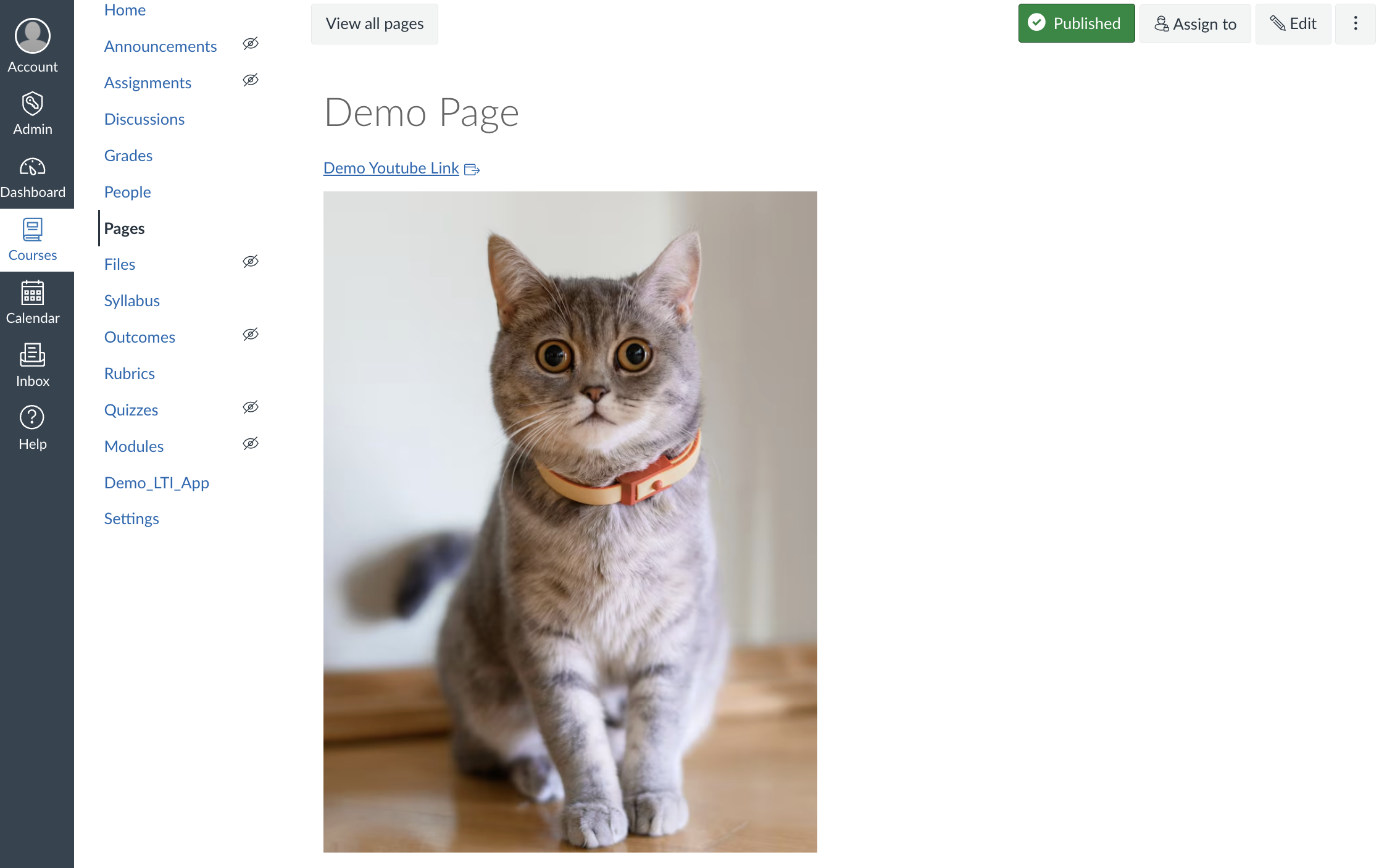 Final Result in Canvas